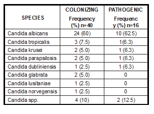 Frequency and percentages of the identified species, n=56.