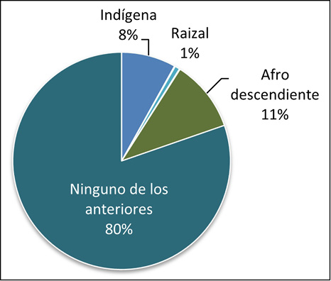 Participaci&oacute;n en la encuesta por grupos &eacute;tnicos