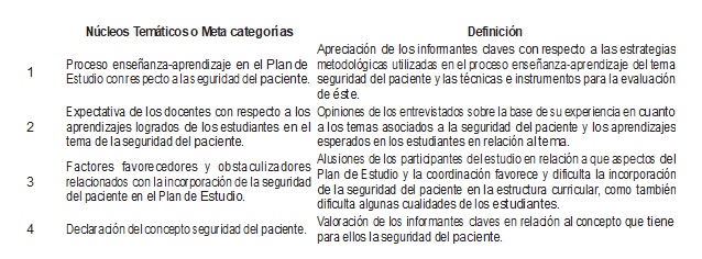  N&uacute;cleos tem&aacute;ticos o metacategor&iacute;as que emergen del Nivel 2 con su definici&oacute;n