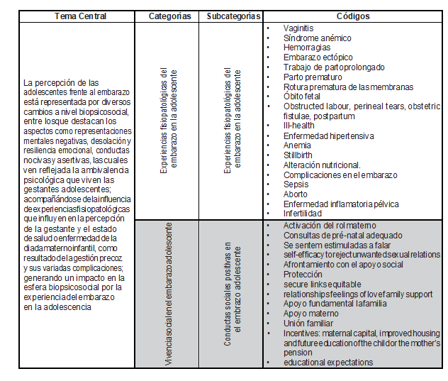 Matriz de categorización
