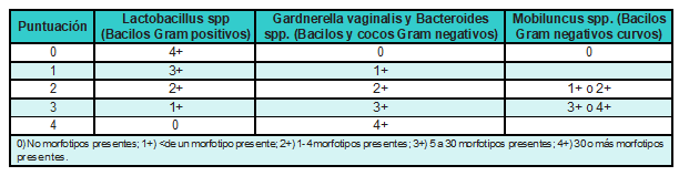 Anexo. Sistema de puntuaci&oacute;n de Nugent