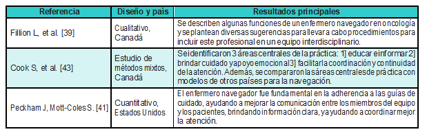 Hallazgos de la revisi&oacute;n de literatura.