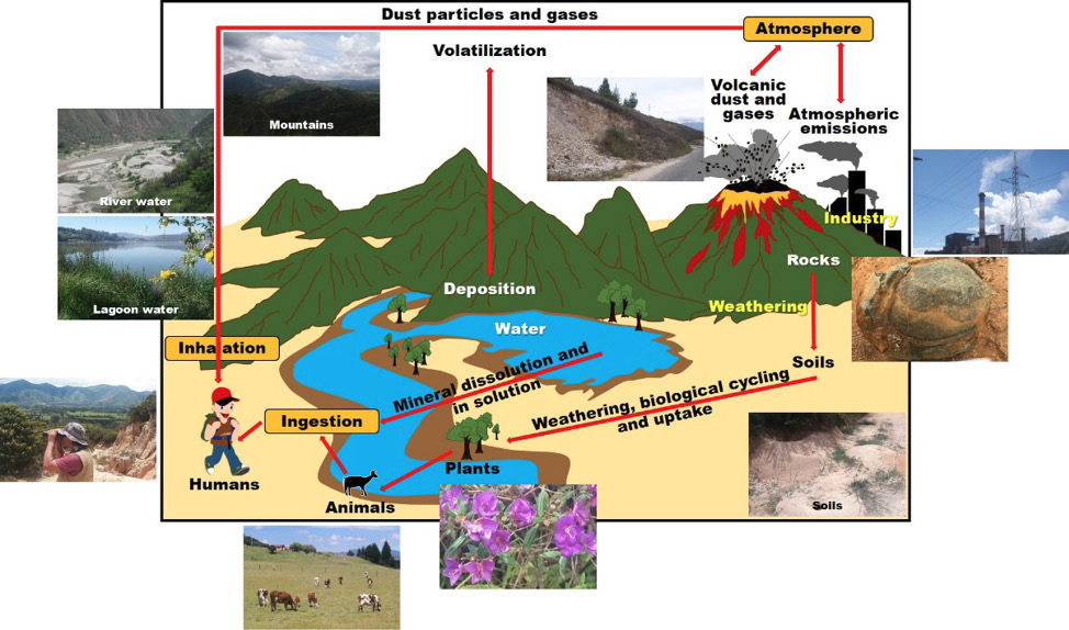 Medical geology and health Source