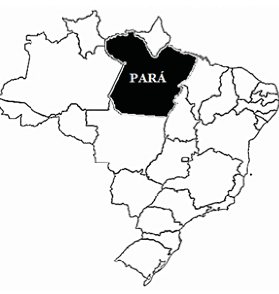 Map of Brazil with emphasis on the state of Par�