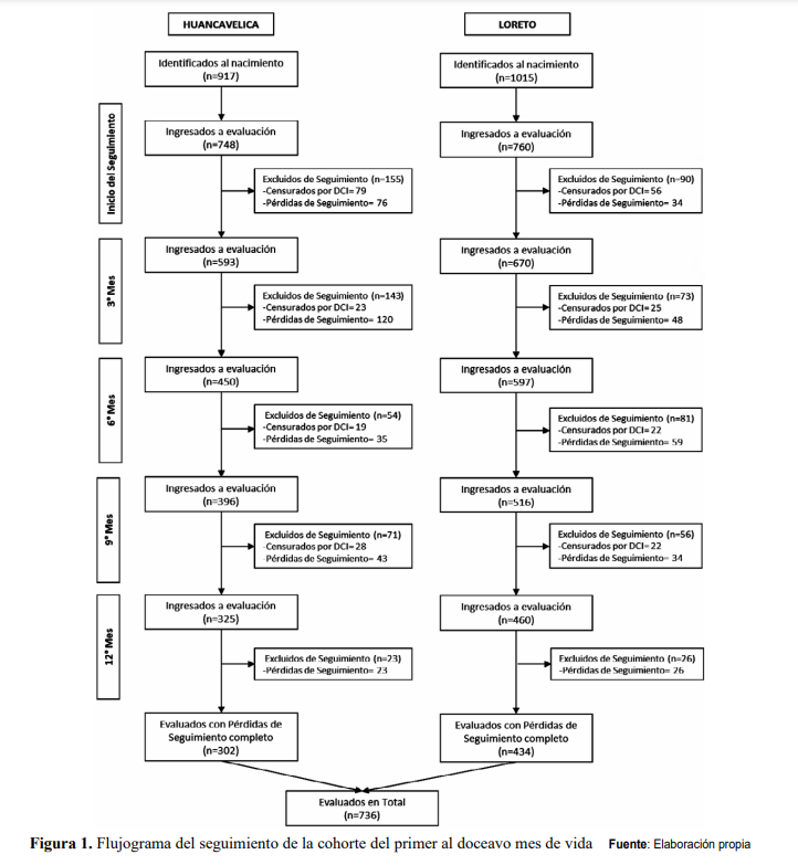 Flujograma del seguimiento de la cohorte del primer al doceavo mes de vida