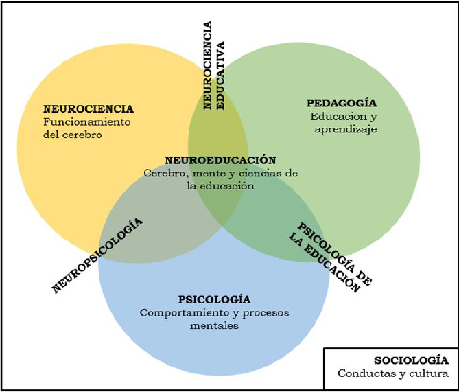 ¿Qué es la Neuroeducación? (Adaptado de Carballo y Portero, 2018, p.23; Tokuhama-Espinosa, 2011)