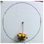 Trayectoria marcada por el fibr�n.