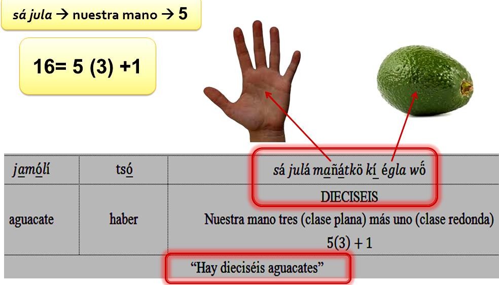 Ejemplo de utilizaci&oacute;n de clasificadores numerales y met&aacute;foras
num&eacute;ricas en el sistema de numeraci&oacute;n oral en lengua cab&eacute;car