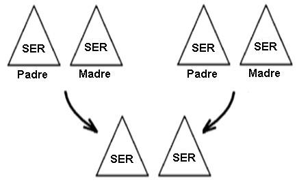 Representación del número tres[7] 