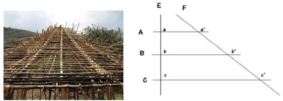 Fotograf&iacute;a
propia, l&iacute;neas creadas en el techado de la vivienda