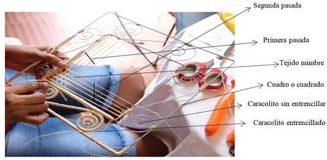 El
paso a paso de la construcción de un individual.