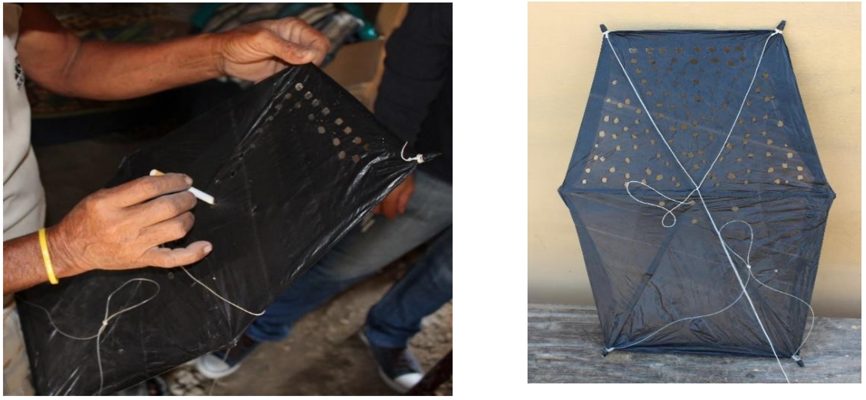 Cometa con perforaciones para soportar presiones muy intensas de los
vientos.