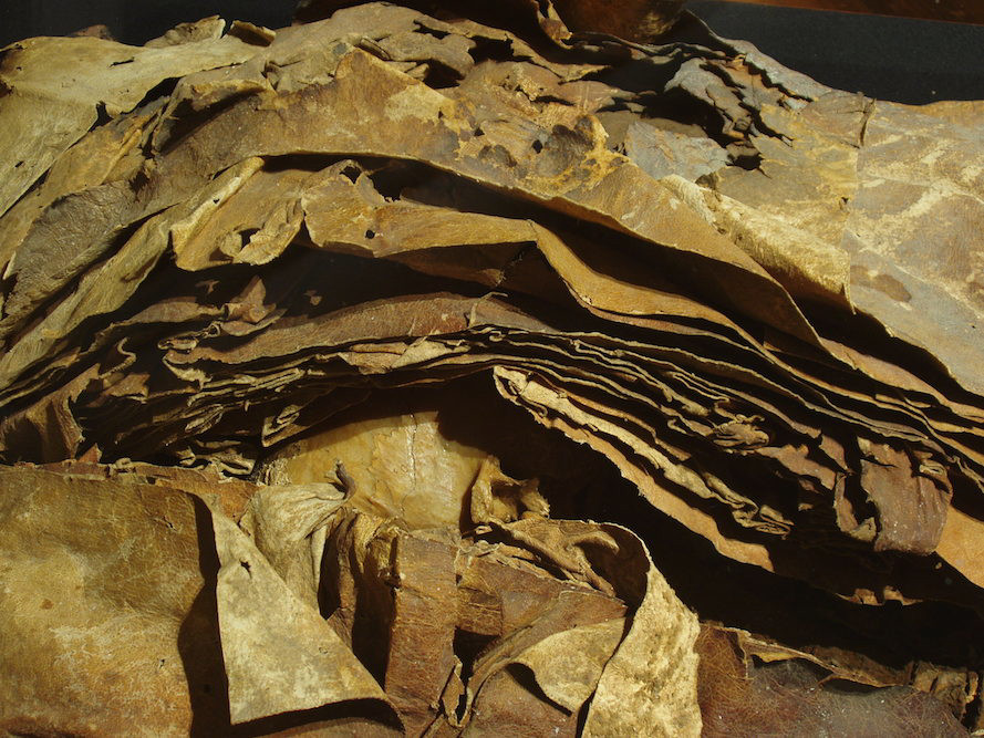 Fardo mortuorio de momia de Gran
Canaria (El Museo Canario)