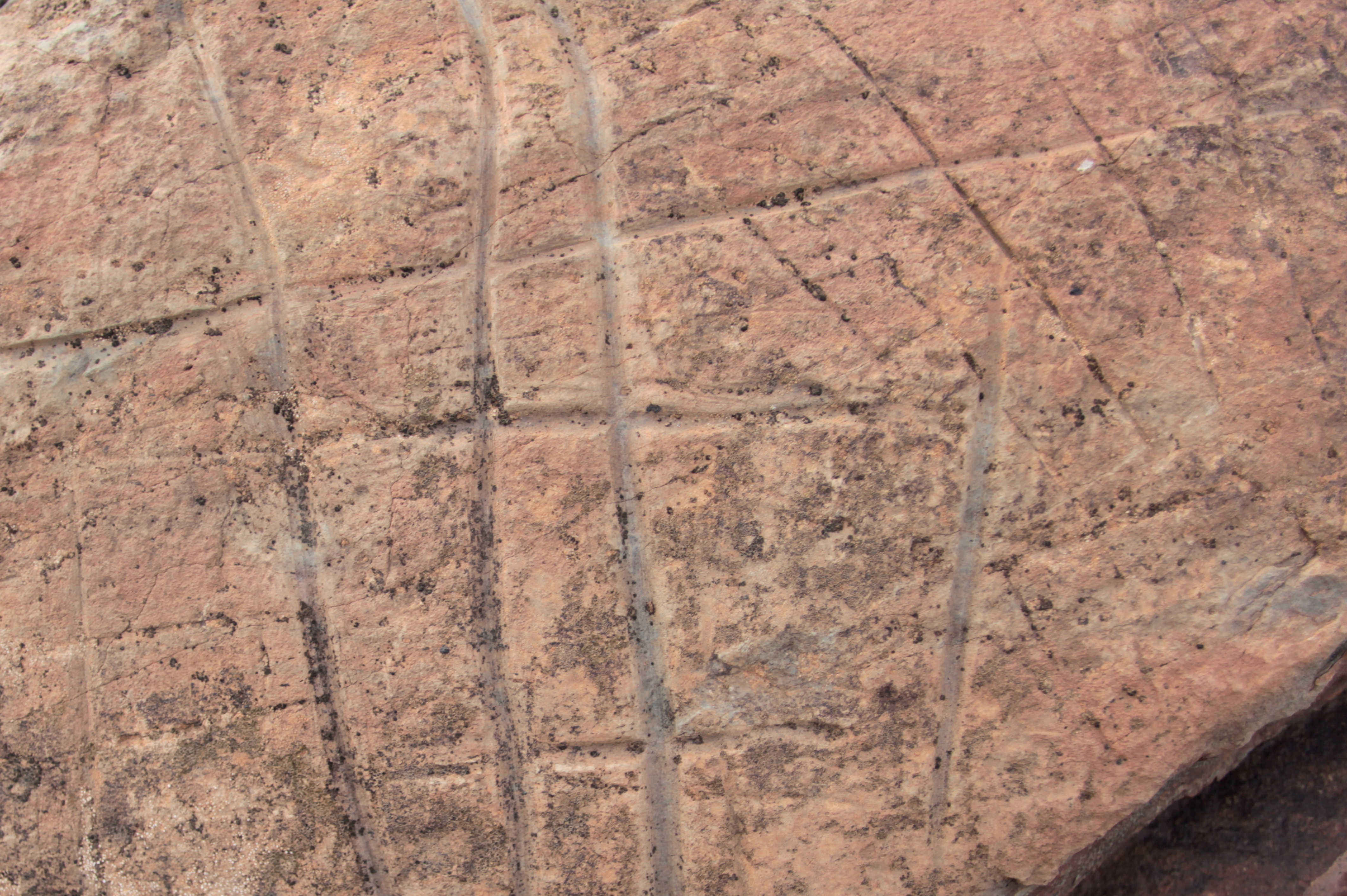 Superposiciones (barranco de las Toscas-2, panel 42).