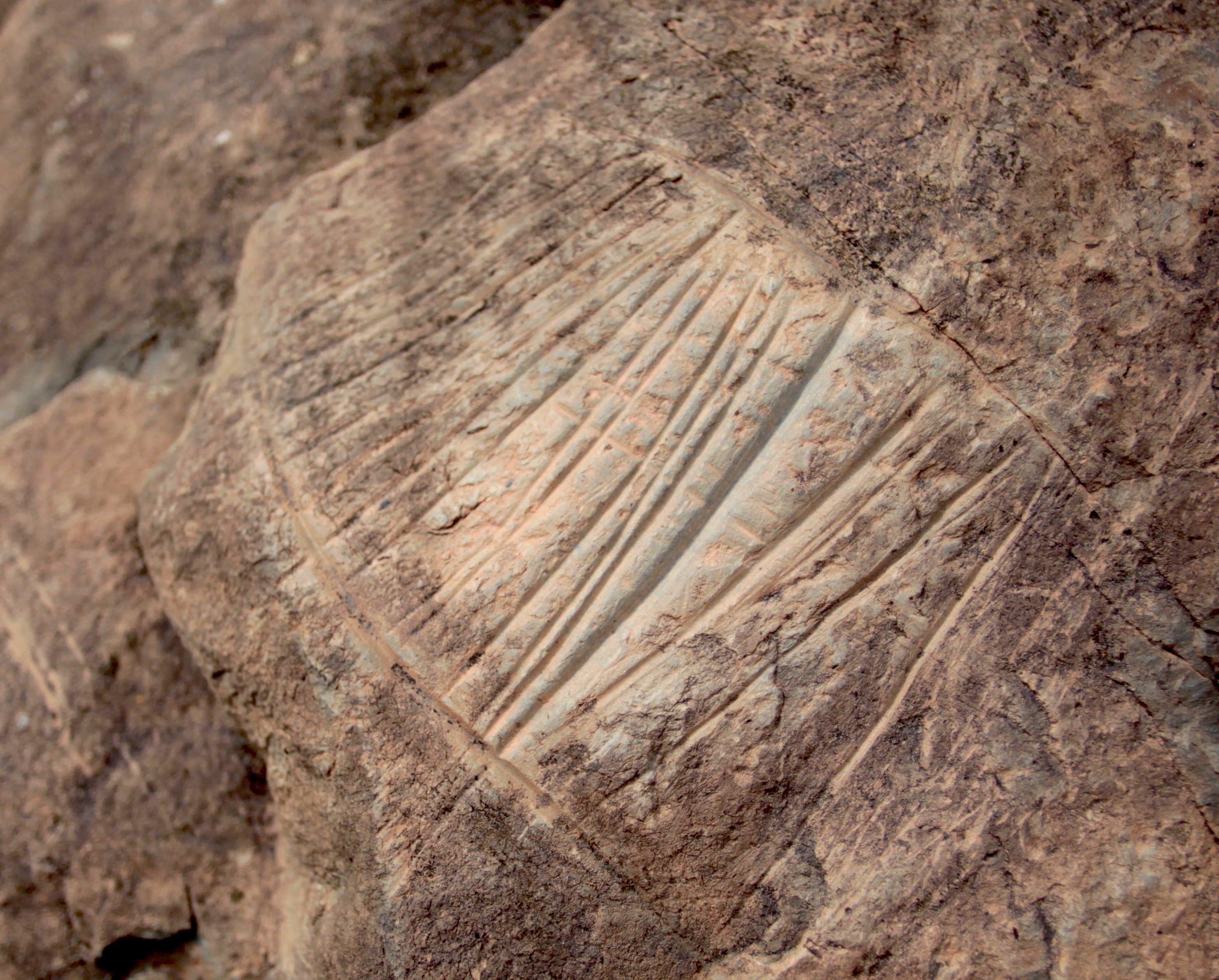 Cuadril&aacute;tero relleno de l&iacute;neas verticales, ejecutados con incisi&oacute;n repasada. Superposiciones. La mayor parte del grabado fue reavivado en &eacute;poca hist&oacute;rica (barranco de las Toscas-1, panel 11).