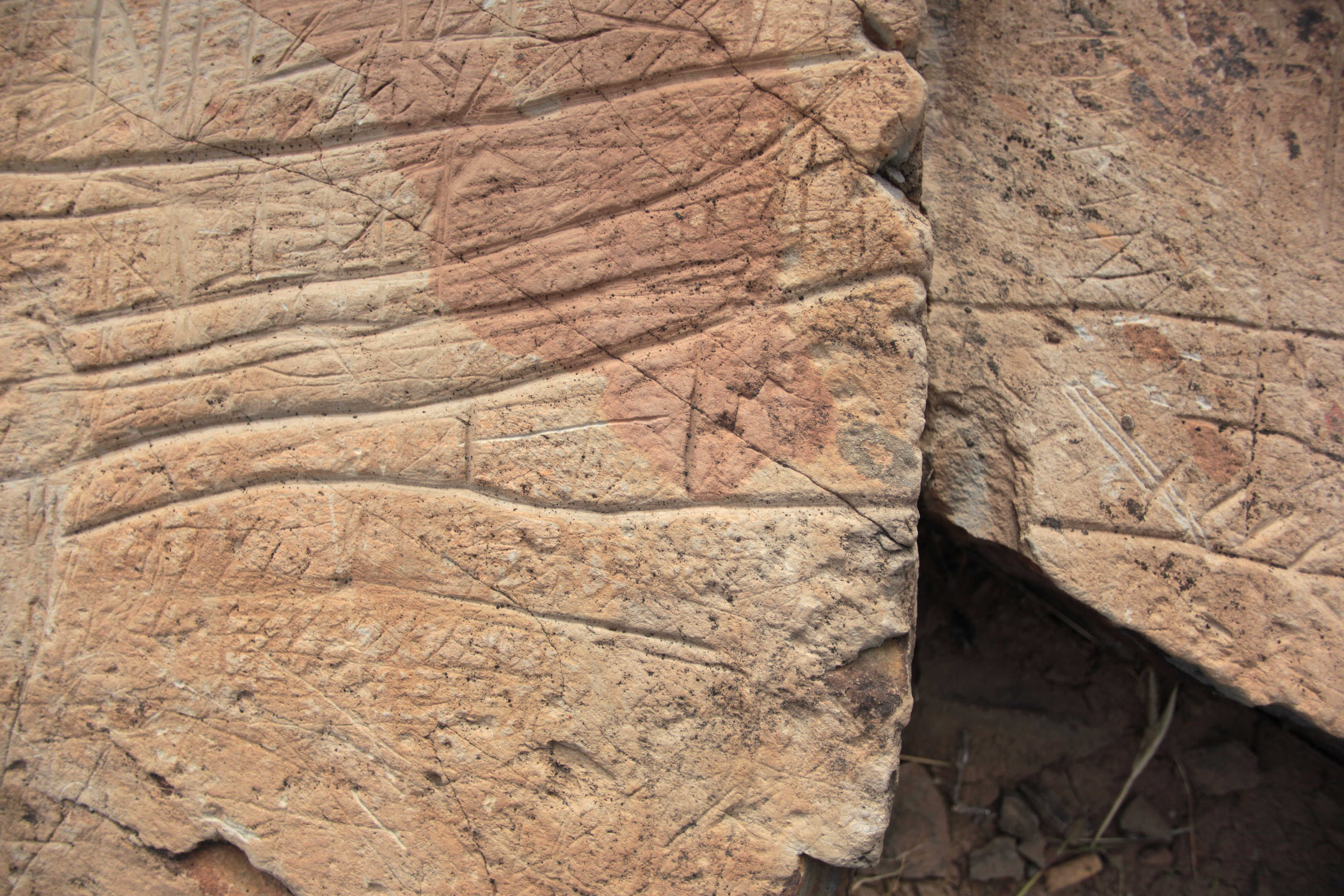 Incisiones repasadas e incisiones simples. P&aacute;tina arcillosa (barranco de las Toscas-1, panel 32).