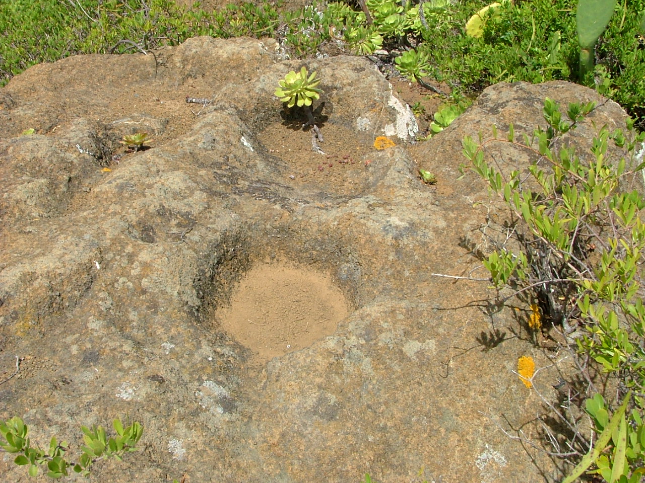 Cazoleta de lomo del Cardón, valle Guerra.