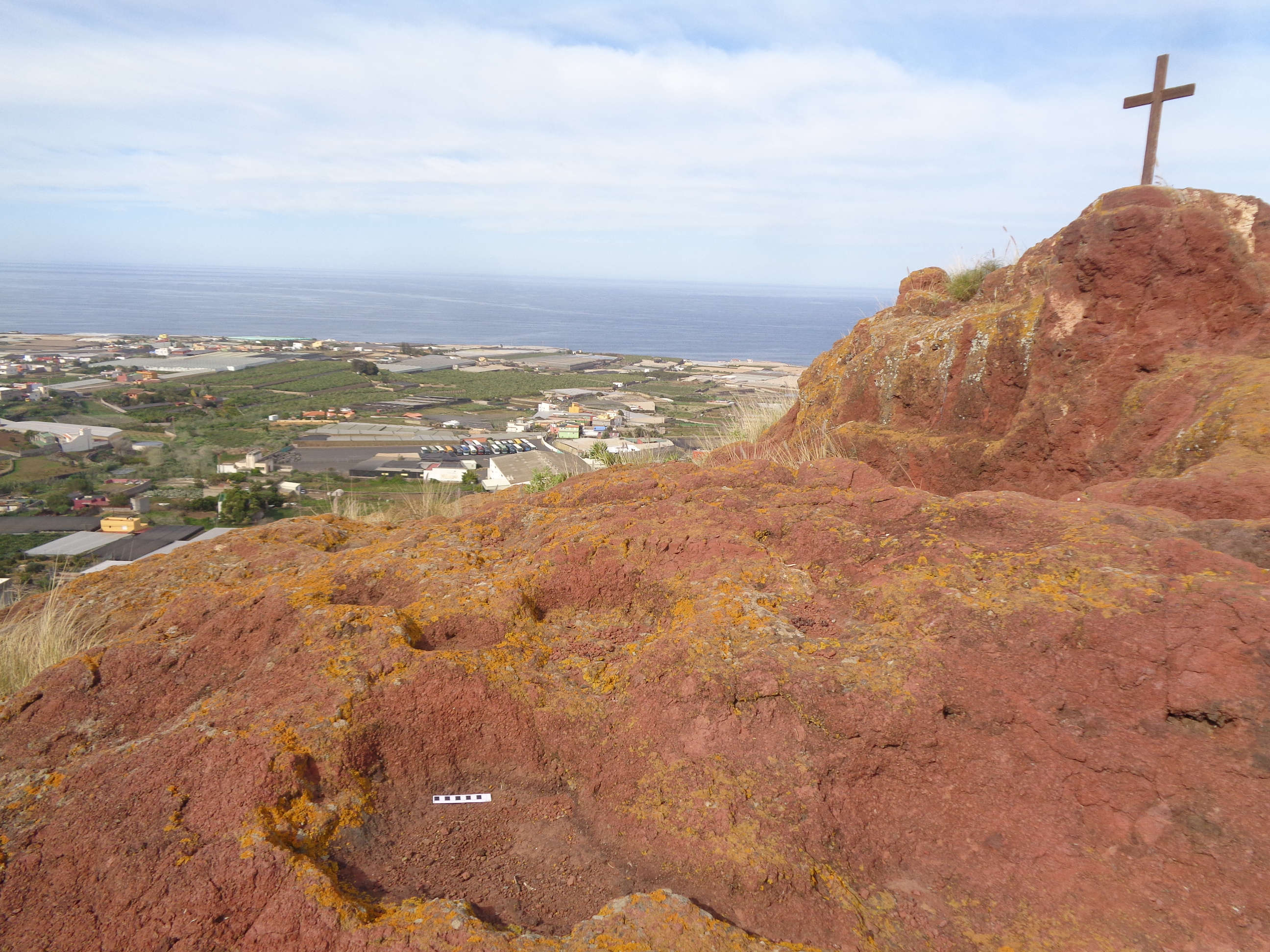 Cazoletas de pico Bermejo, Tejina.