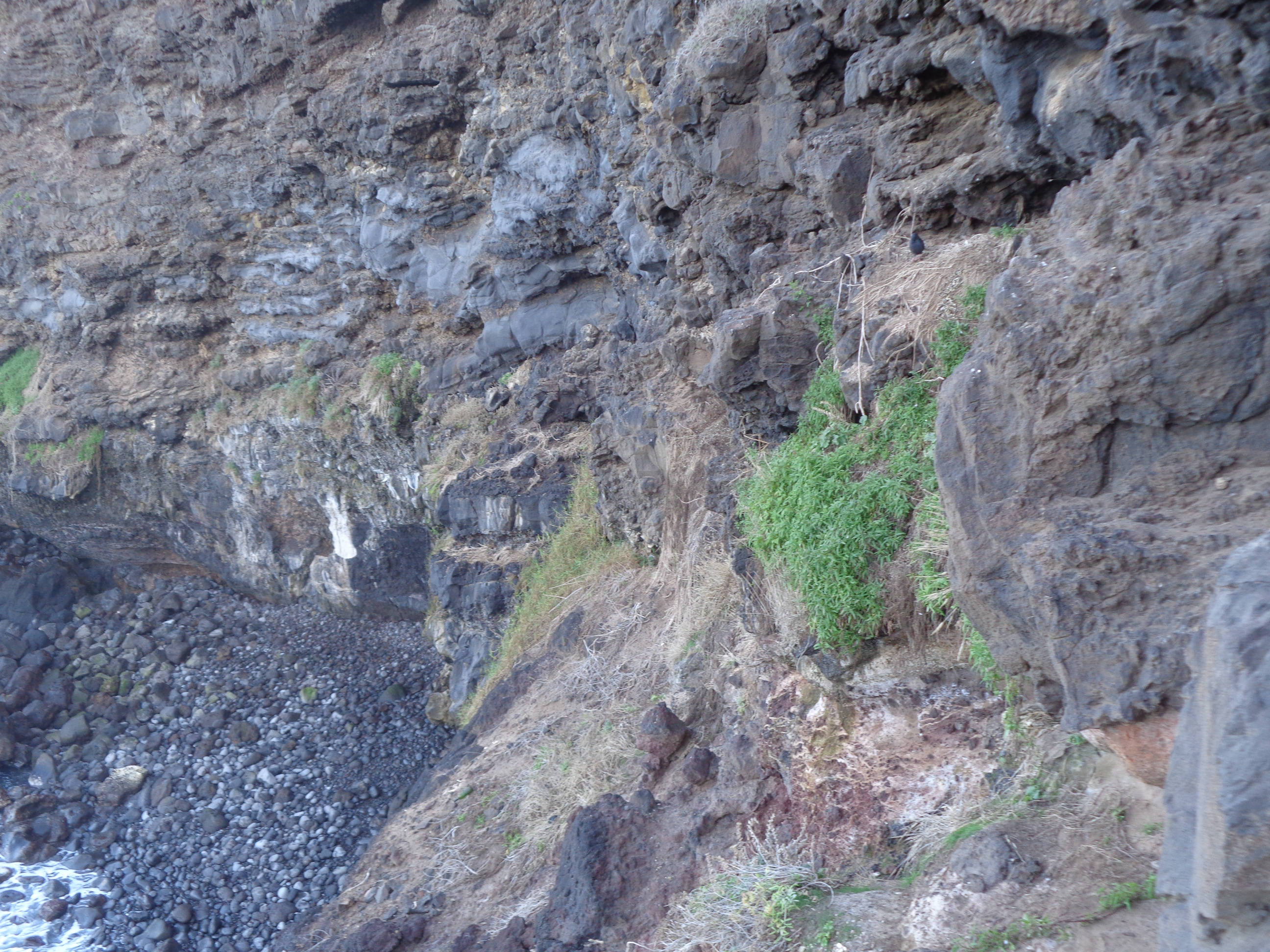 Acceso derrumbado a la cueva de las Goteras, Bajamar.