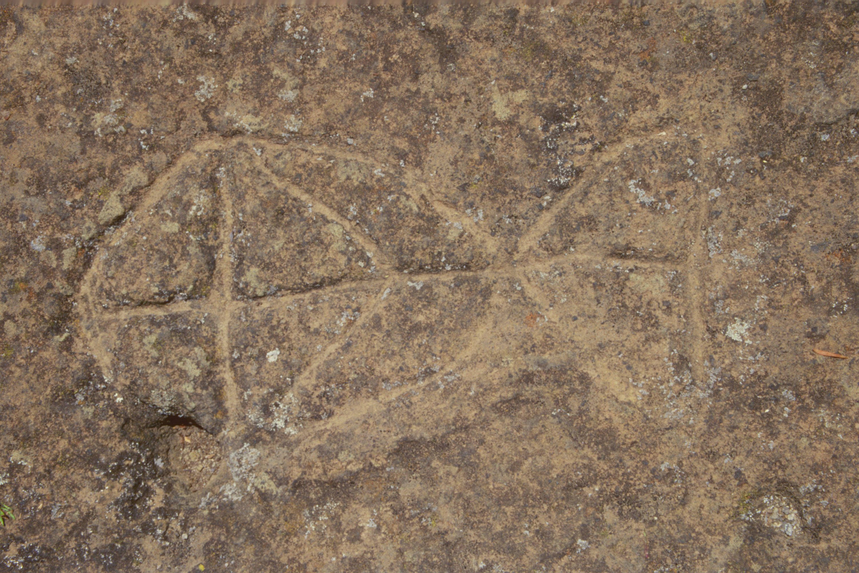 Grabado de pisciforme, Los Dos Hermanos, punta del Hidalgo.
