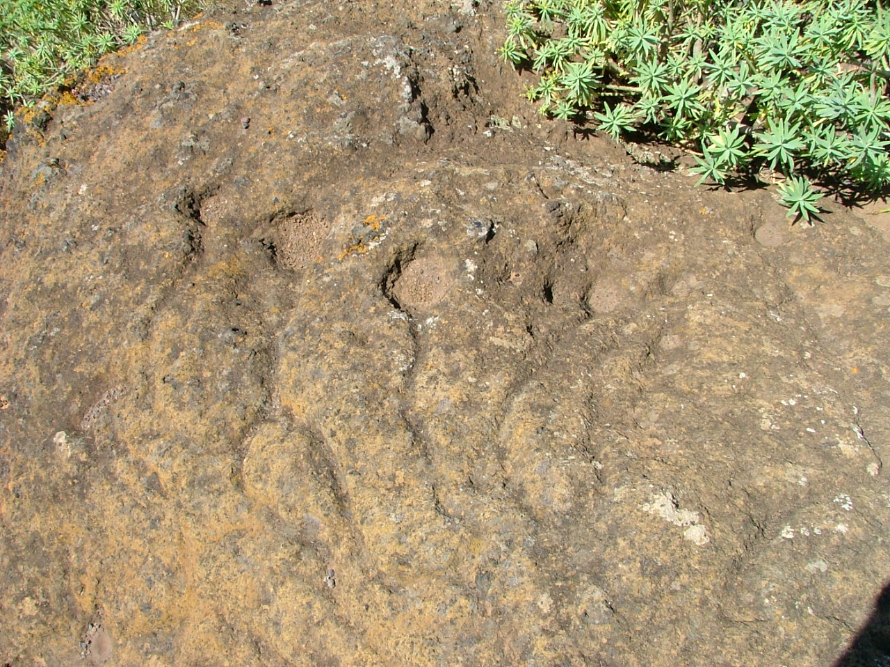 Estación de cazoletas y canales, Los Dos Hermanos, punta del Hidalgo.