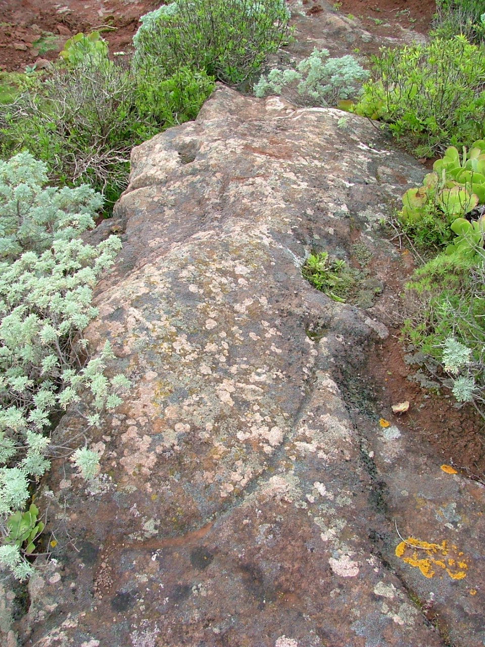 Estación de cazoletas y canales, Solis.