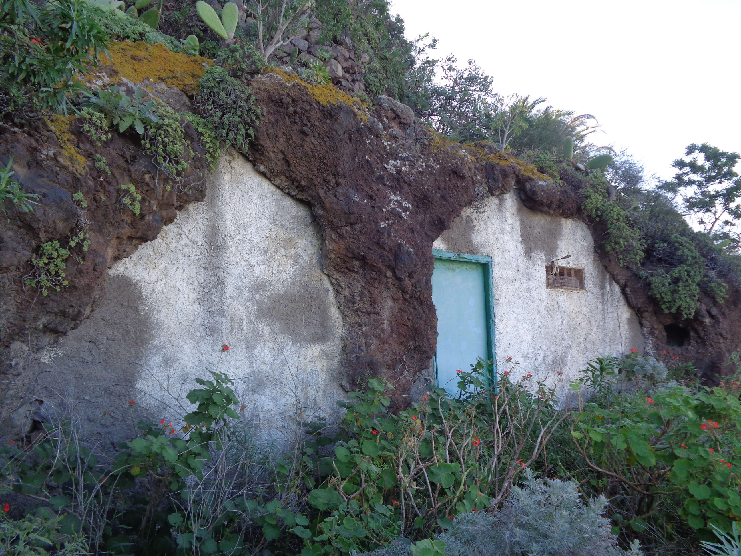 Cueva Zebensui, Punta del Hidalgo