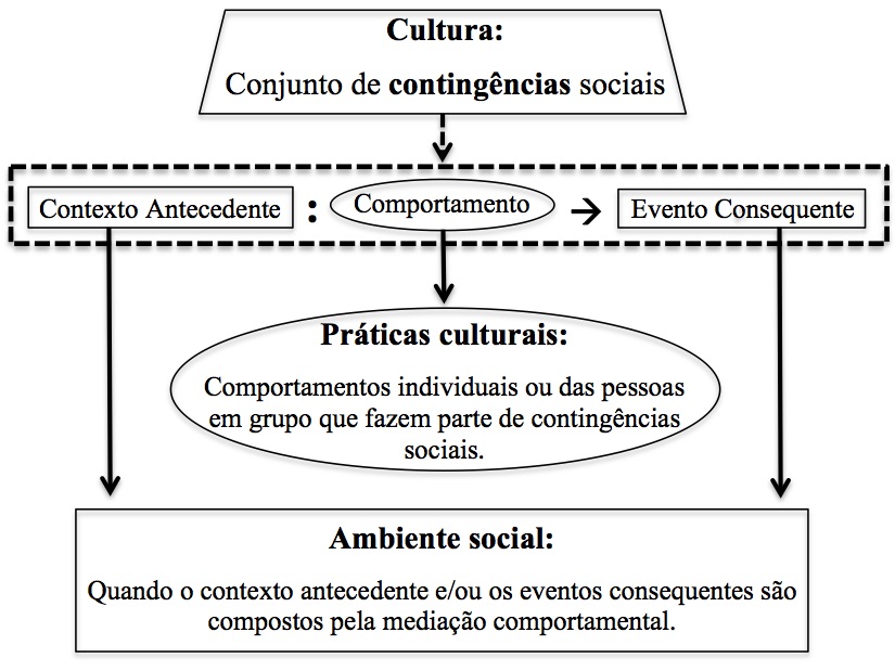 Conceitos centrais na defini&ccedil;&atilde;o de cultura e pr&aacute;ticas culturais 