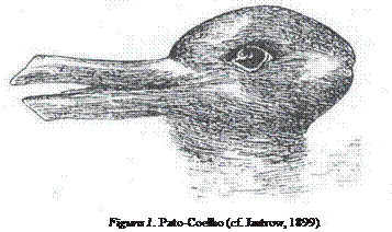 Pato-Coelho