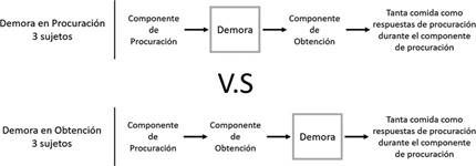 Diagrama del procedimiento.