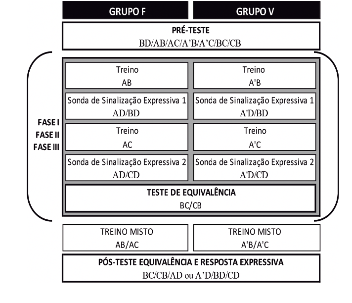 Diagrama esquemtico do procedimento.