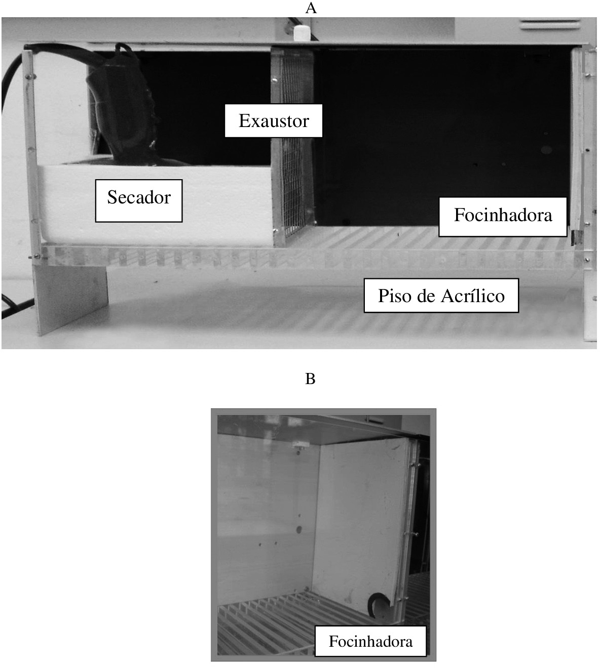 Foto da câmara experimental (Shuttlebox) com o operandum (focinhadora) ativo utilizado na fase de tratamento.