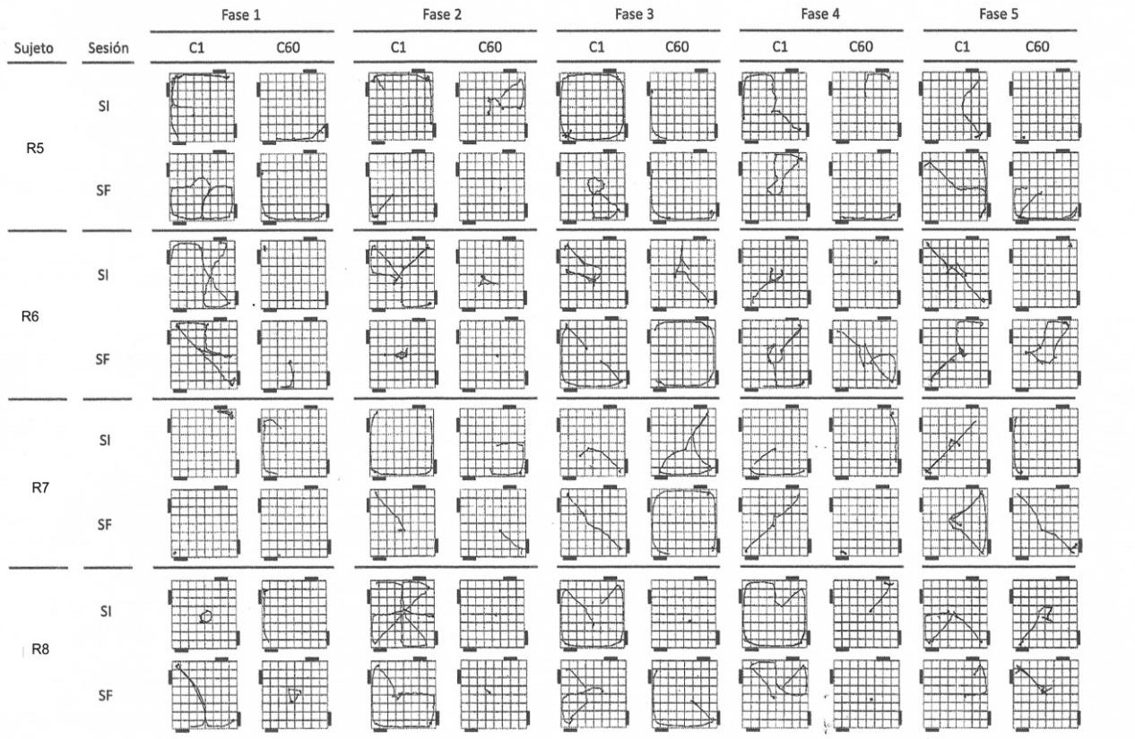 Rutas analgicas del primer y ltimo ciclo de la primera y ltima sesin de cada fase por rata Experimento 2
