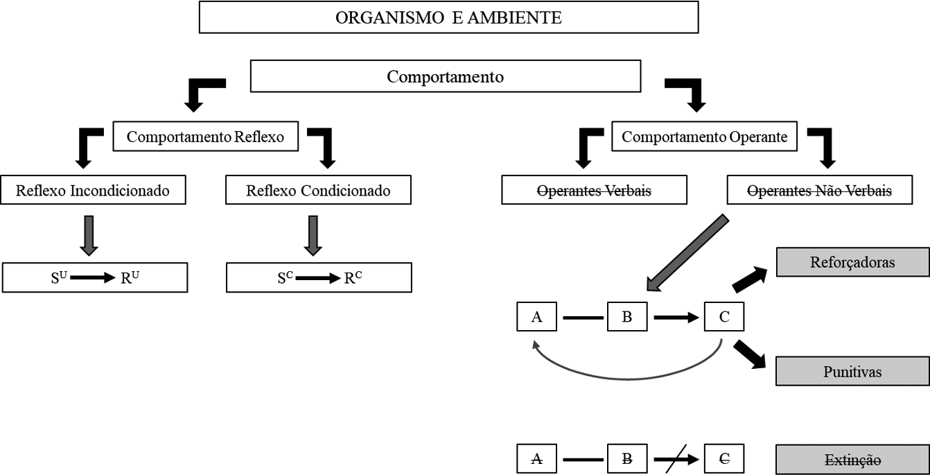 Hierarquia de conceitos e princpios bsicos advindos do passo 1 do primeiro modelo de tomada de deciso.
