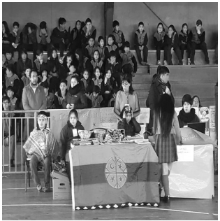 Feria Ciudadana en la Región de los Lagos, 2017.