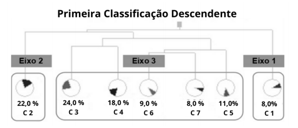 Alceste: &aacute;rvore de classifica&ccedil;&atilde;o descendente.