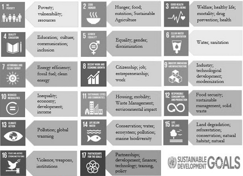 Central topics developed in the research.