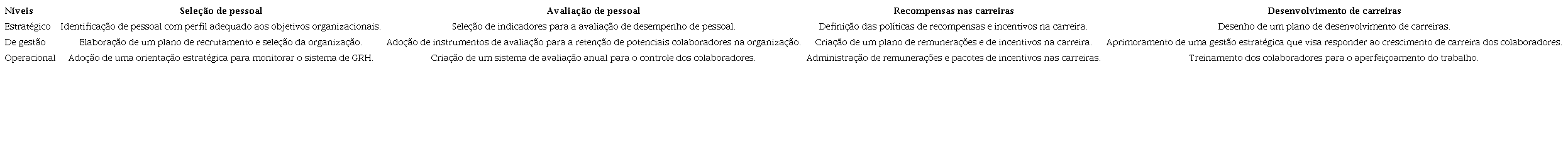 N&iacute;veis de planejamento e or&ccedil;amenta&ccedil;&atilde;o de carreiras.