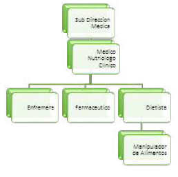 Organigrama del Departamento de Nutrición Clínica