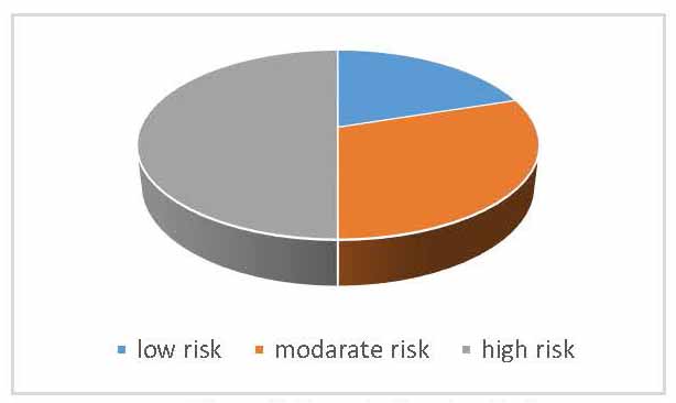 Figure 2. Hazard rating classification