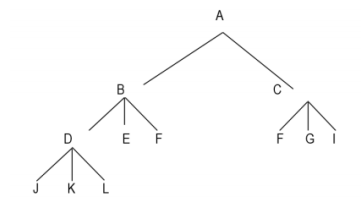 Chart 3. branched hierarchical structure