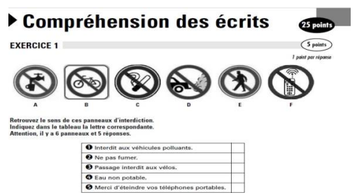 Figure 3. form of items