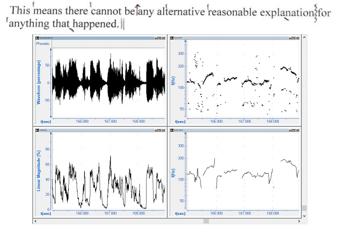 Figure 1. An example of instrumental analysis of the prosecutor’s logos-based utterance.