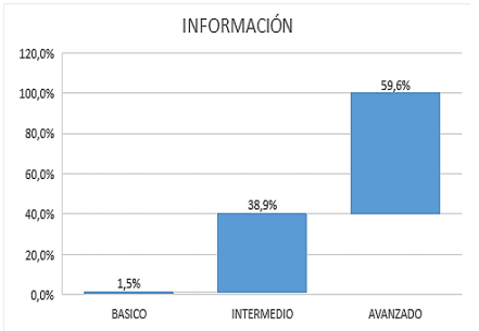 Gráfico 1. Área información