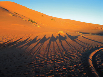 Norte de África,
Desierto Merzouga