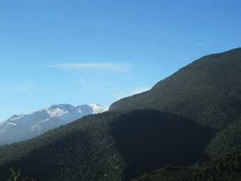 Norte de África
(2010)
