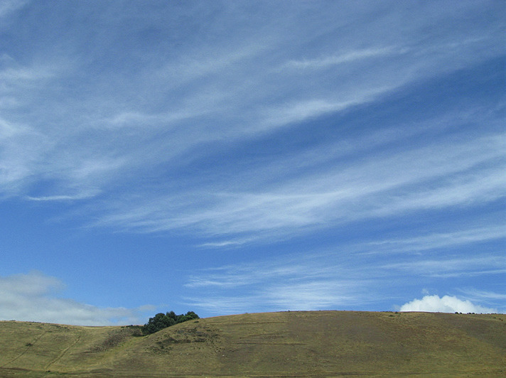 Sabana de Bogotá
(2009)