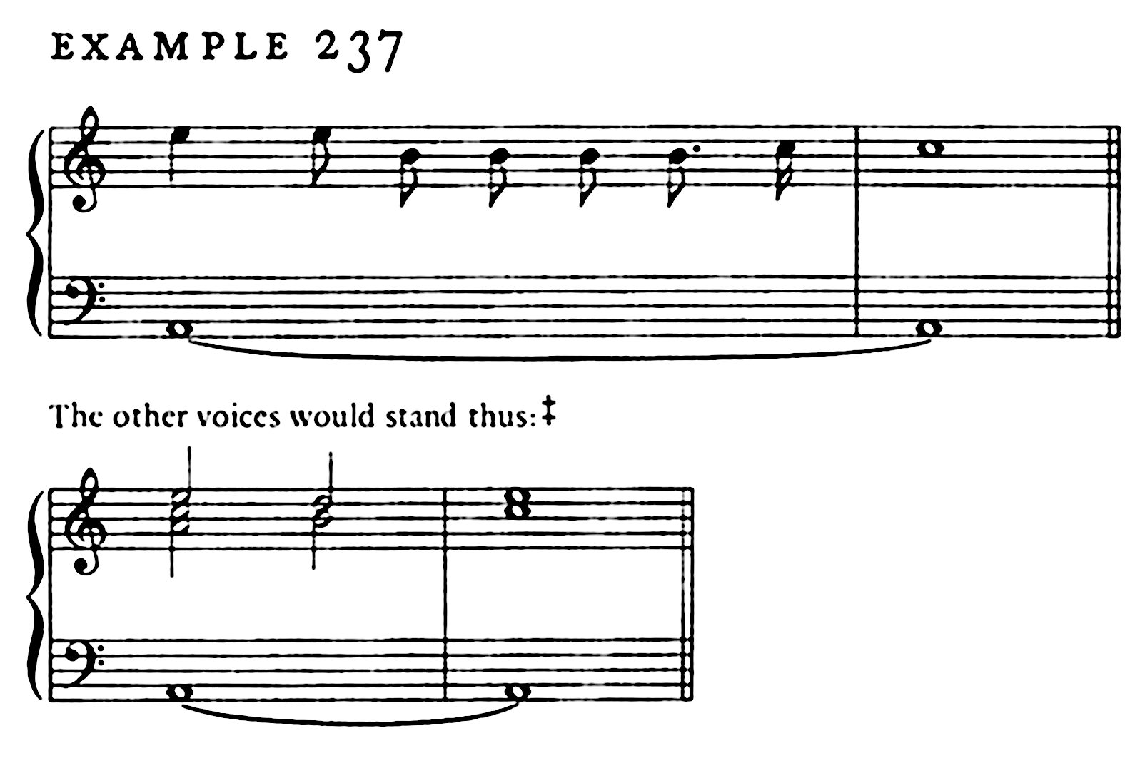 Tomado de Bernhard  1660