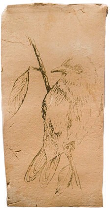 F&oacute;rmula Cinco. 