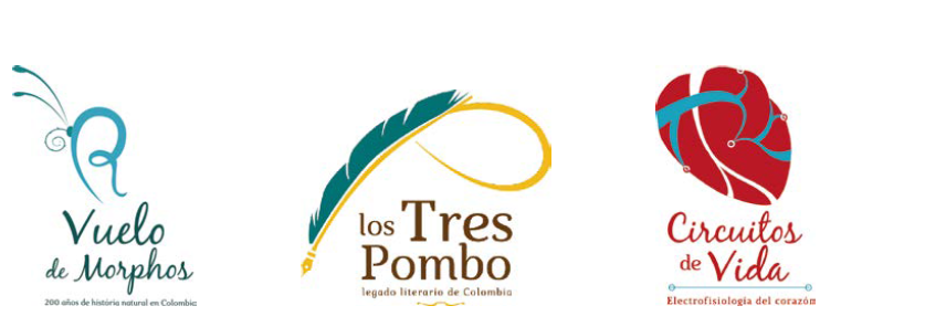 Imagen 7.